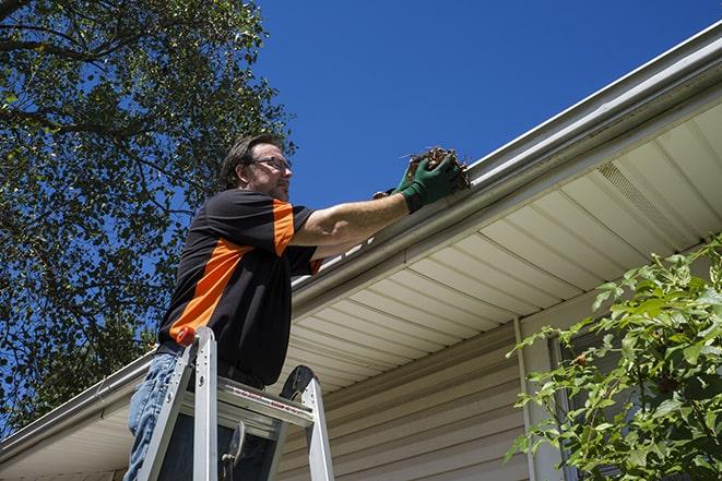 a worker conducting maintenance on a gutter in Belleville